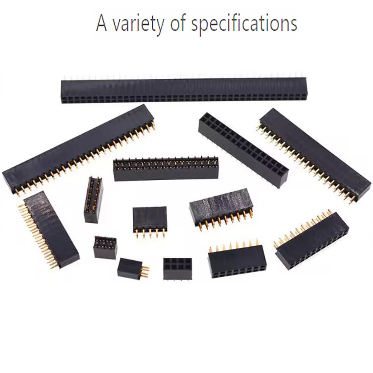 マッスー　2点 mpcbts000_20230801115836.jpg